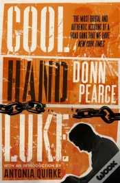 Capa do artigo Cool Hand Luke: Introduction By Antonia Quirke
