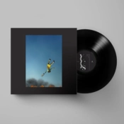 Capa do artigo Cool It Down - Vinil