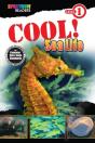 Cool! Sea Life - Preview