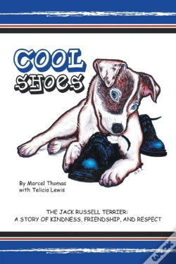 Capa do artigo Cool Shoes