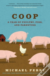 Capa do artigo Coop