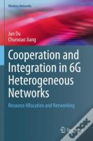 Cooperation And Integration In 6g Heterogeneous Networks