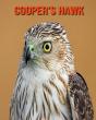 Cooper'S Hawk - Preview