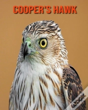 Capa do artigo Cooper