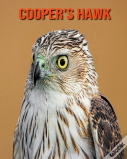 Capa do artigo Cooper'S Hawk