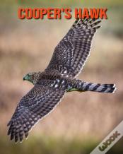Cooper'S Hawk