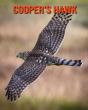 Cooper'S Hawk - Preview
