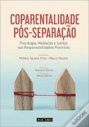 Capa do artigo Coparentalidade Pós-Separação