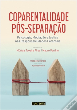 Capa do artigo Coparentalidade Pós-Separação