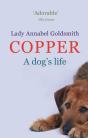 Copper - Preview