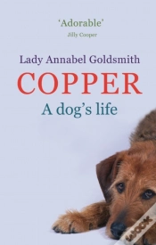 Capa do artigo Copper