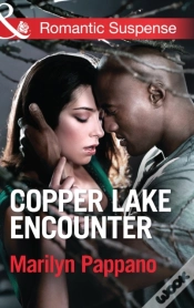 Capa do artigo Copper Lake Encounter
