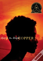 Capa do artigo Copper Sun