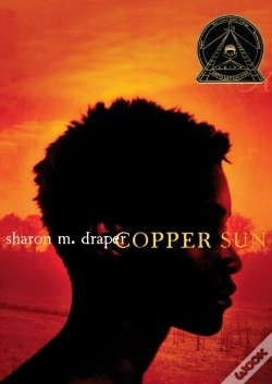 Capa do artigo Copper Sun