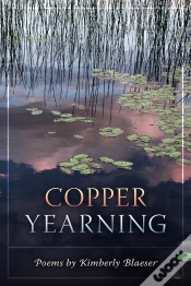 Capa do artigo Copper Yearning