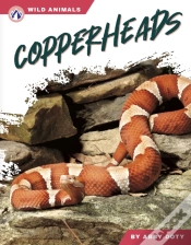 Capa do artigo Copperheads