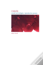 Capa do artigo Copula