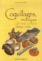 Coquillages De Nos Cotes - Preview