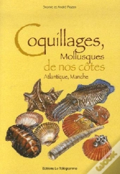 Coquillages De Nos Cotes
