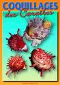 Coquillages Des Caraïbes - Preview