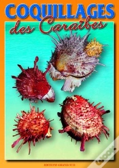 Capa do artigo Coquillages Des Caraïbes