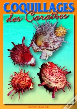 Capa do artigo Coquillages Des Caraïbes