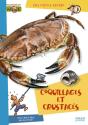 Coquillages Et Crustacés - Preview