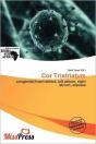 Cor Triatriatum - Preview
