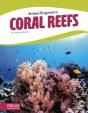 Coral Reefs - Preview