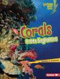 Corals - Preview