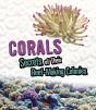 Corals - Preview