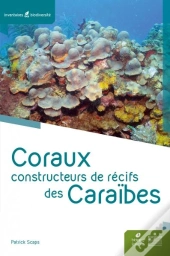 Coraux Constructeurs De Récifs Des Caraïbes