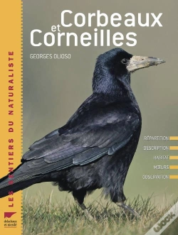 Capa do artigo Corbeaux Et Corneilles