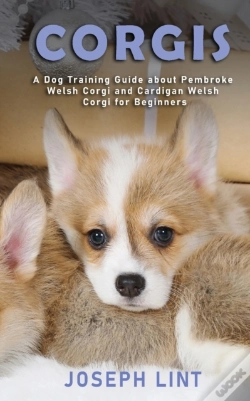 Capa do artigo Corgis