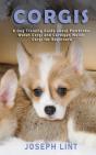 Corgis - Preview