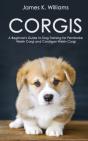 Corgis - Preview