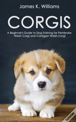 Capa do artigo Corgis