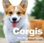 Corgis - Preview