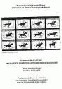 Cormac Mccarthy. Uncharted Territories/Territoires Inconnus - Preview