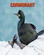 Cormorant - Preview