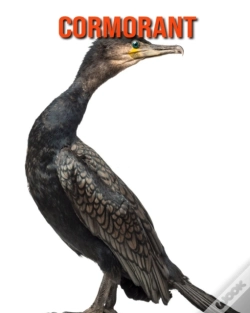 Capa do artigo Cormorant