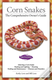 Corn Snakes