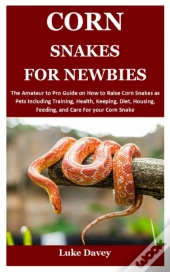 Corn Snakes For Newbies