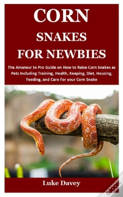 Capa do artigo Corn Snakes For Newbies