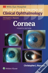 Cornea