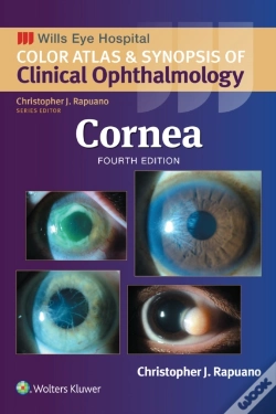 Capa do artigo Cornea