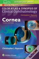 Cornea