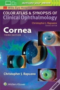 Capa do artigo Cornea