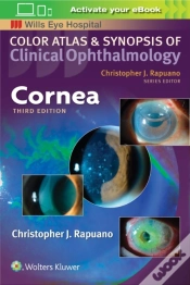 Capa do artigo Cornea
