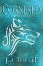 Cornered - Preview